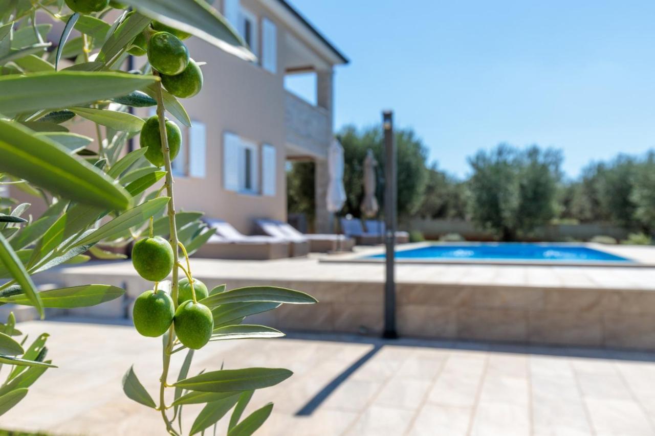 Selina Villa Terlevic מראה חיצוני תמונה